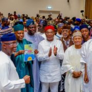 Progressive governors back Tinubu’s second-term bid