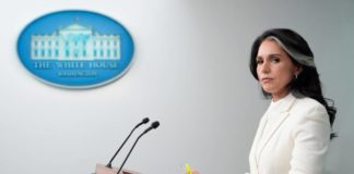 NRTC WEEKLY: Top 5 stories from around the world you may have missed NRTC WEEKLY: Tulsi Gabbard