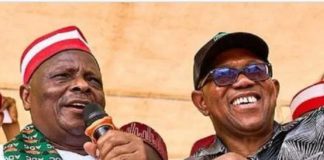 BREAKING: Peter Obi, Rabiu Kwankwaso join NDC Peter Obi, Rabiu Kwankwaso