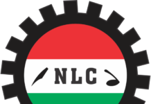 NLC logo