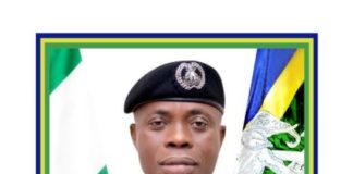 Ogun Police foil ₦50m kidnap plot