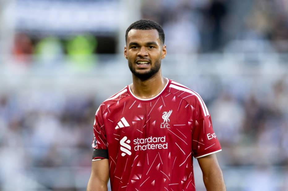 Manchester City opens formal negotiations for Liverpool star Cody Gakpo 1 cody gakpo liverpool looks premier 1103891107