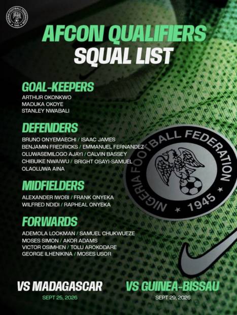 Super Eagles squads announced for AFCON and Russia clash 1 image 19